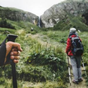What is the difference between hiking poles and trekking poles?
